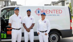 Professional wasp control team standing beside service vehicle after providing service successfully